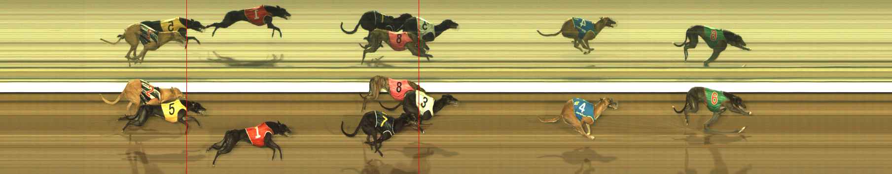 Race result finish photo